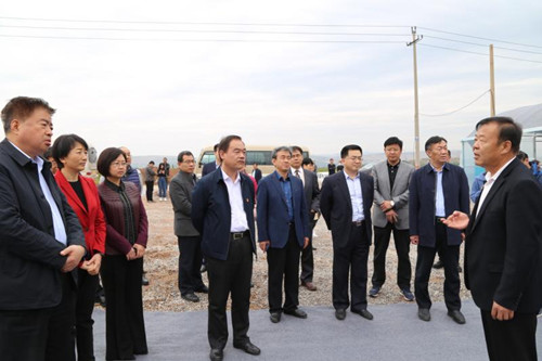 5de1c245c72a0.jpg 2.jpg