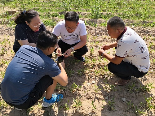 5de1c2f15a073.jpg 2.jpg